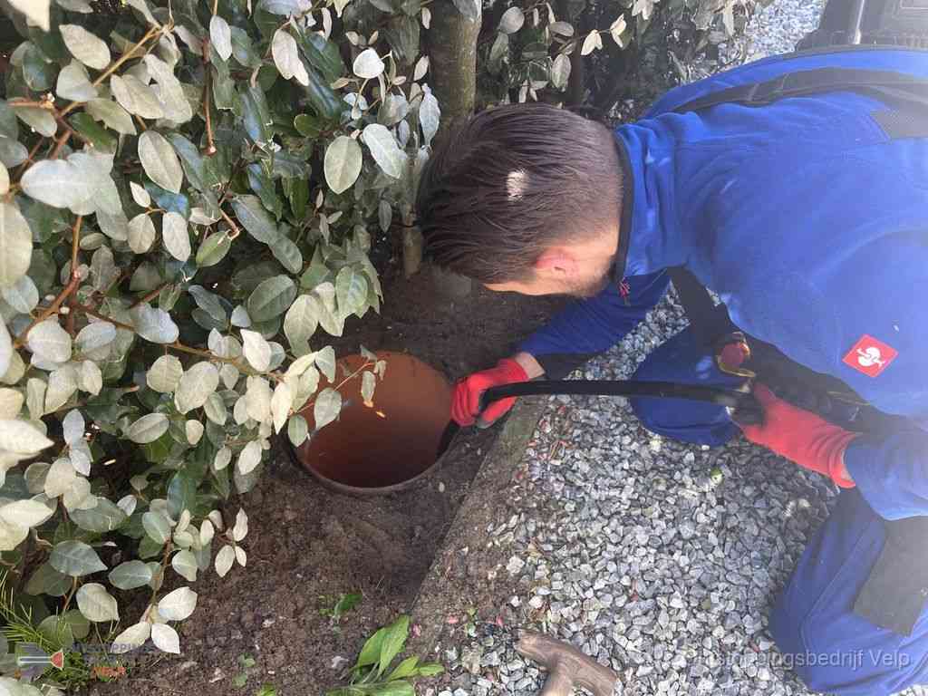 Rioolvliegjes Velp Rioolvliegjes Velp